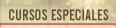 CURSOS ESPECIALES